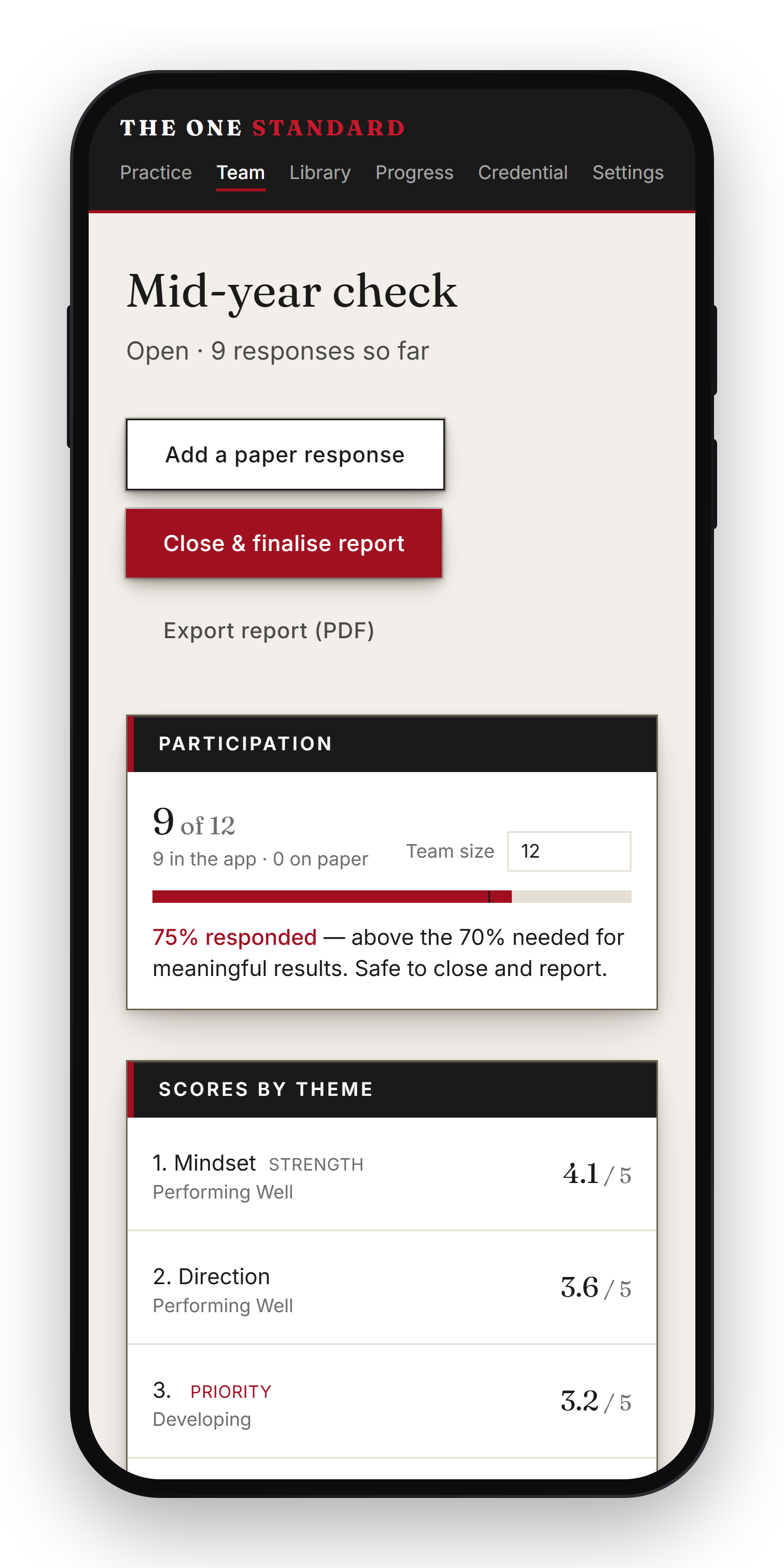 The Team Culture Audit report, scored by theme, individual responses hidden.